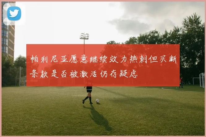 帕利尼亚愿意继续效力热刺但买断条款是否被激活仍存疑虑